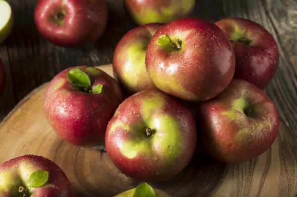 Flavorful Macintosh Apple and Its Best Suppliers