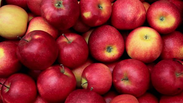 Top Distributors of the Best Red Apples Collection 