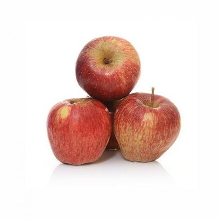 Ways of Finding the Best Distributors of Gravenstein Apples