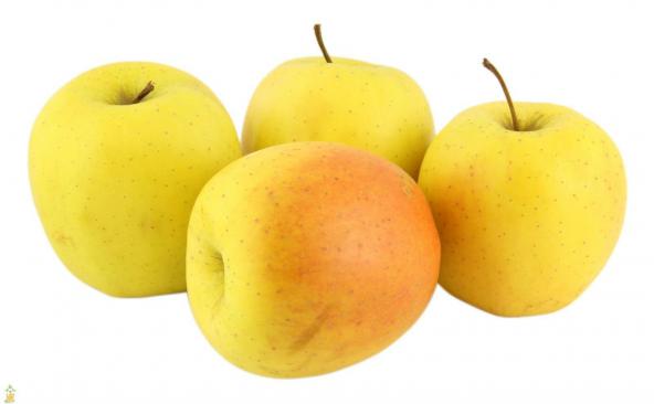 Varieties of the Most Delicious Golden Apple