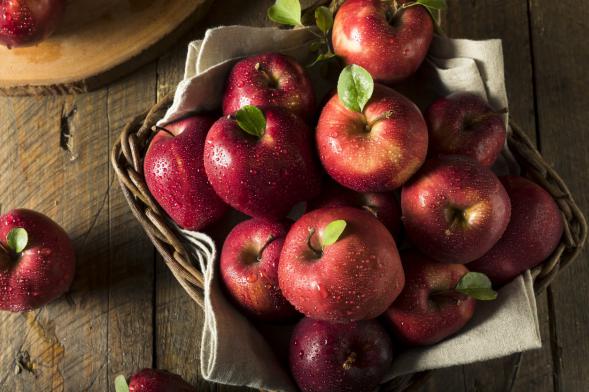 Ways of Producing the Most Delicious Red Apples 