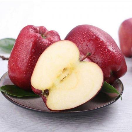 Fleshy Asian Apple Fruit with Affordable Price