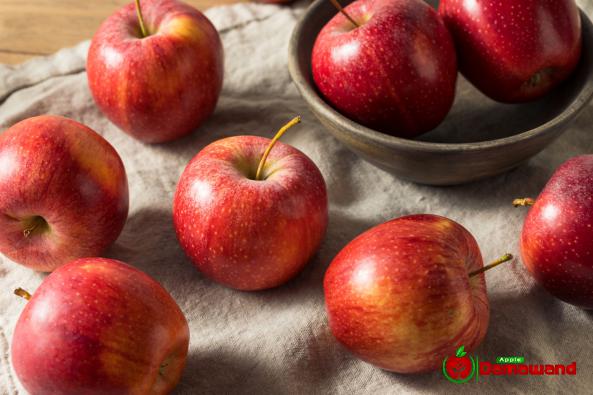 Cheap Royal Gala Apples with High Quality