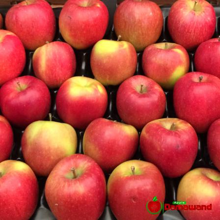 Top Suppliers of the Most Delicious Braeburn Apples
