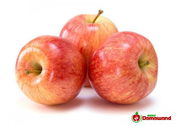 Wonderful Gala Apples Bulk Price