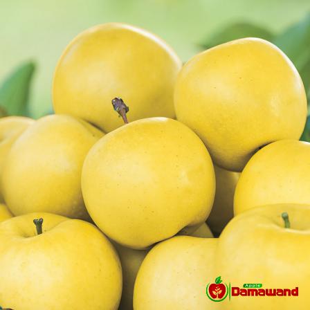 Delicious Golden Apples and Its Latest Price at Market