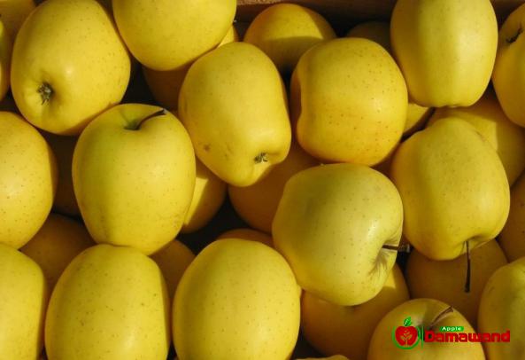 Cultivation Types of Golden Delicious Apples