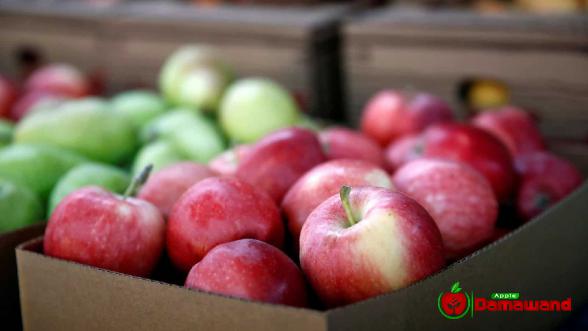 Unlimited Wholesale Distribution of Sweetest Organic Apples