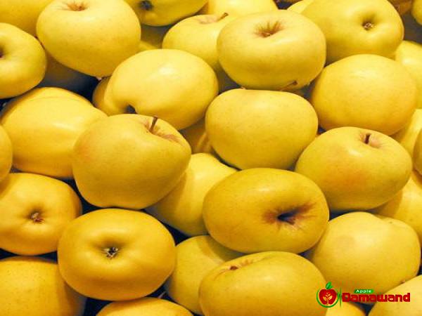 Unlimited Bulk Distribution of Yellow Apples with Lowest Price