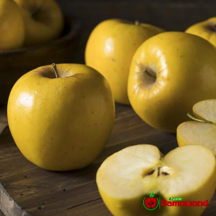 Professional Supplier of Tasty Organic Apples at EU Countries