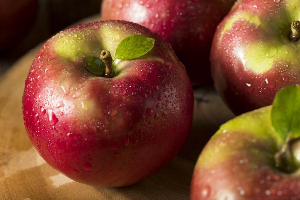 Do red delicious apple trees need a pollinator