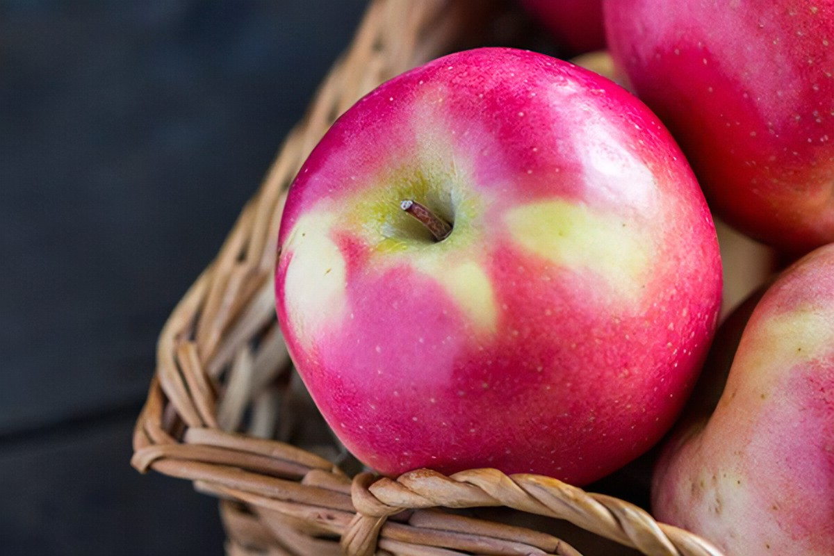 Pacific Rose Apple