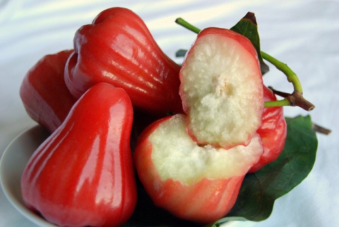 Where to Buy Rose Apple Fruit