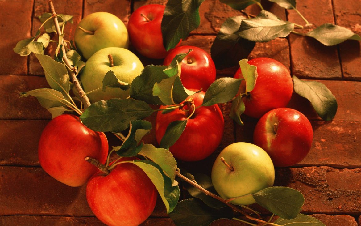 Discovery and Falstaff apple for sale